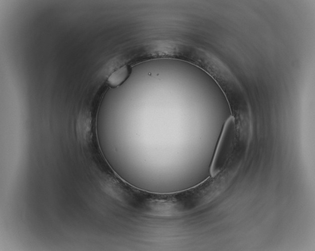 X0000113030548200909031254