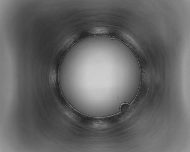 X0000113030549200909031254