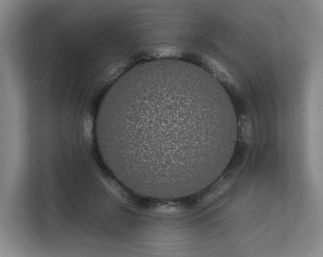 X0000113030550200909031254