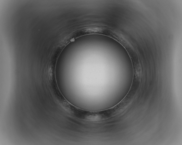 X0000113030551200909031254