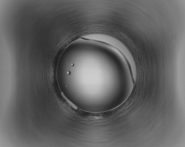 X0000113030552200909031254