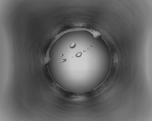 X0000113030559200909031254