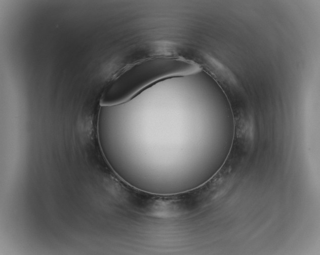 X0000113030560200909031254