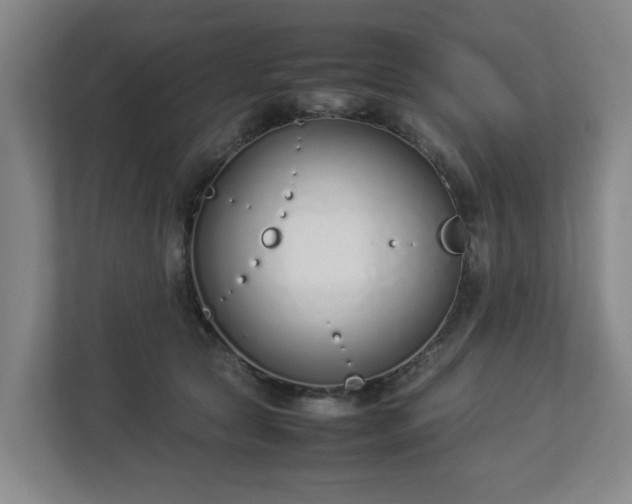 X0000113030561200909031254