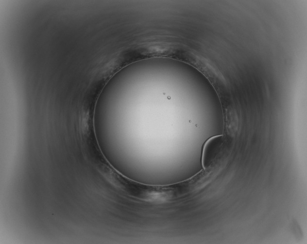 X0000113030563200909031254