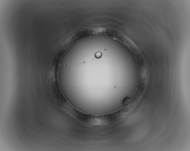 X0000113030565200909031254