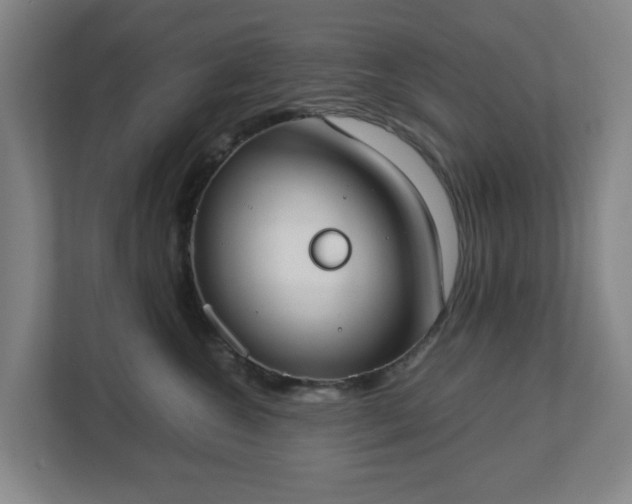 X0000113030572200909031254