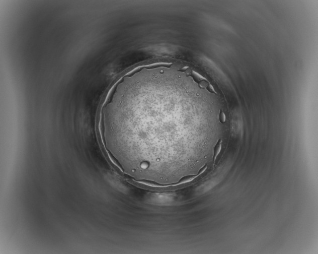 X0000113030573200909031254