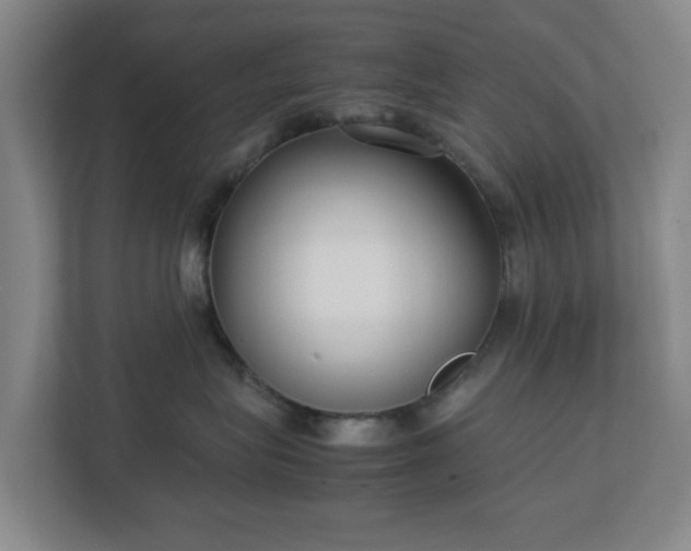 X0000113030575200909031254