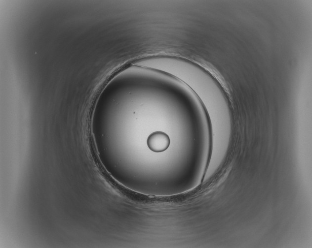 X0000113030577200909031253