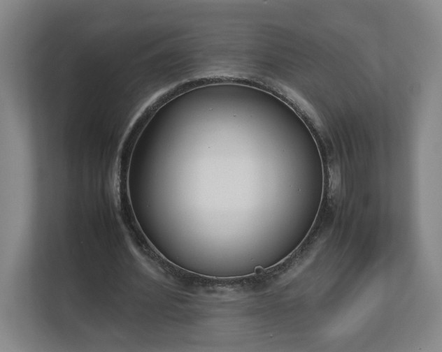 X0000113030580200909031253