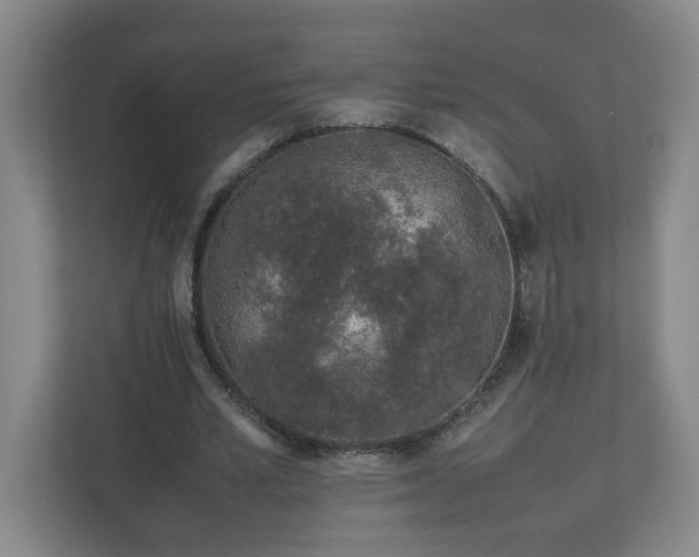 X0000113030581200909031253