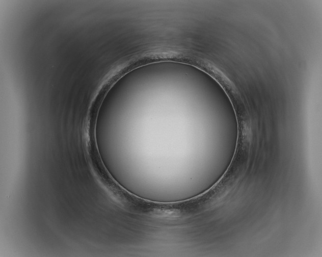 X0000113030582200909031253