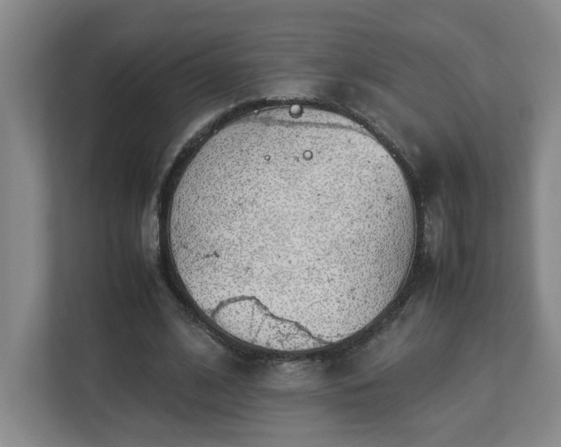 X0000113030584200909031253