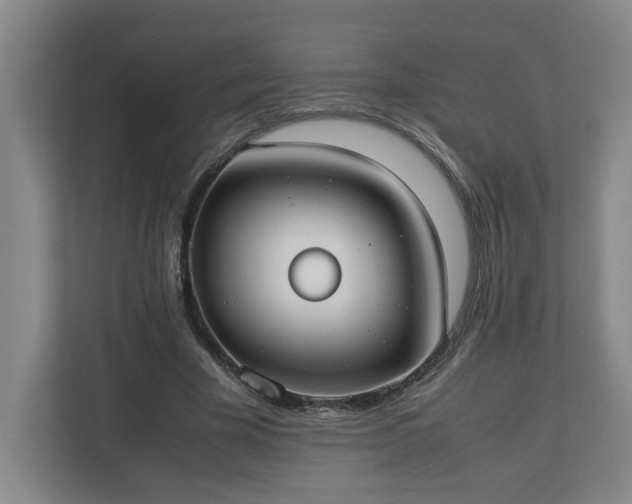 X0000113030585200909031253