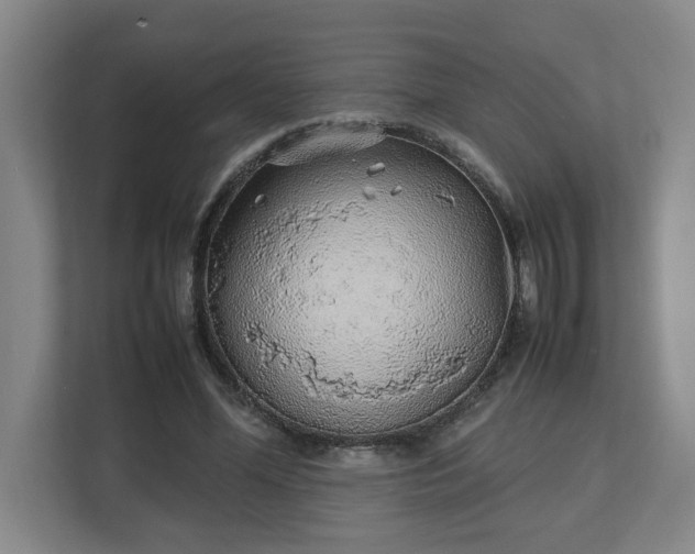 X0000113030588200909031253