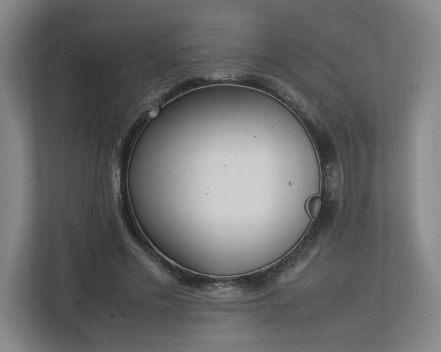 X0000113030589200909031253