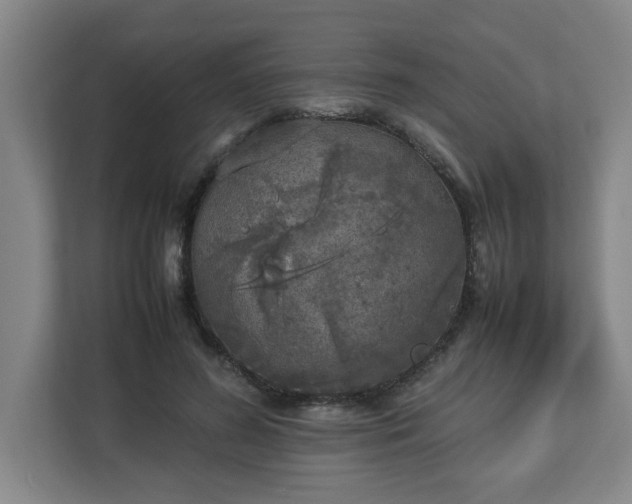 X0000113030596200909031253