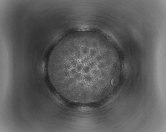 X0000113030598200909031253