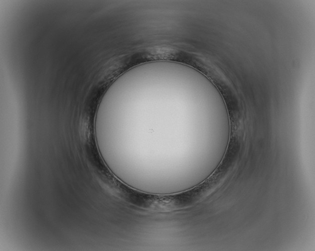 X0000113030599200909031253