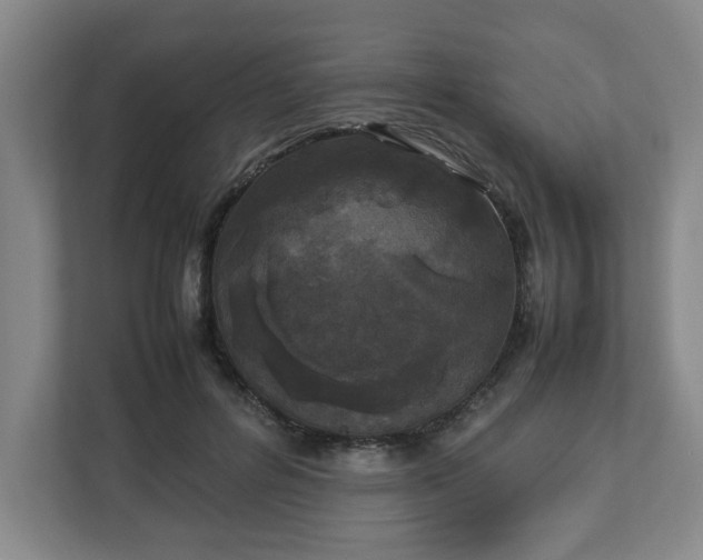 X0000113030600200909031253