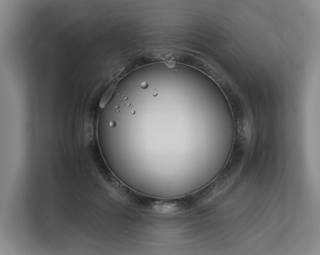 X0000113030602200909031253