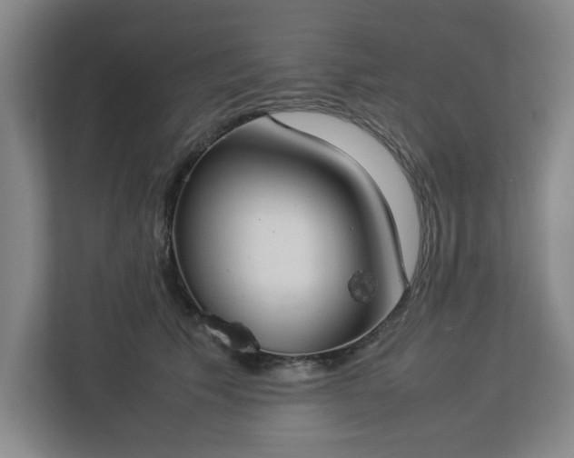 X0000113030609200909031253