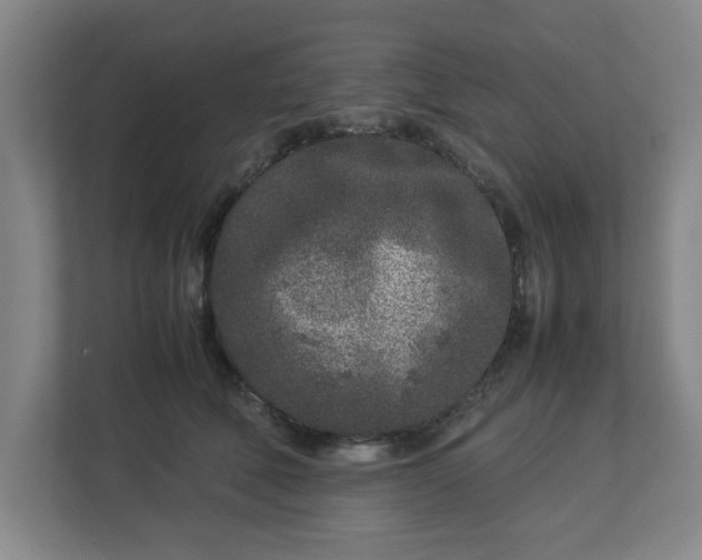 X0000113030610200909031253