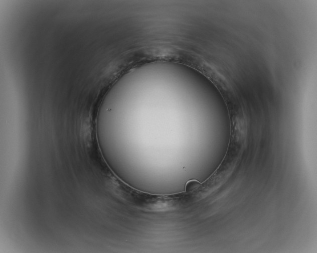 X0000113030612200909031253