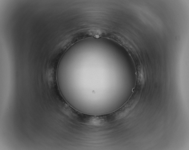 X0000113030616200909031253