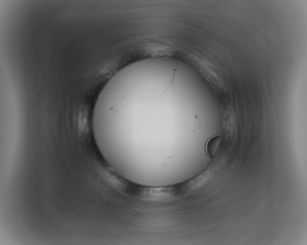 X0000113030622200909031253