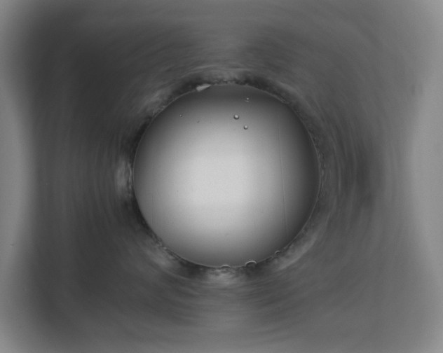 X0000113030624200909031253