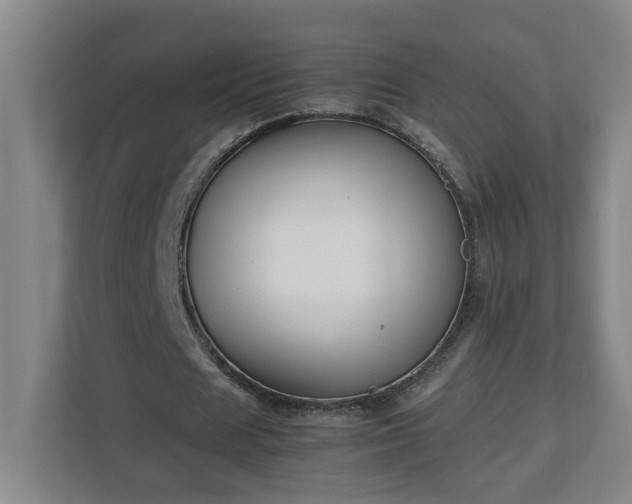 X0000113030625200909031252