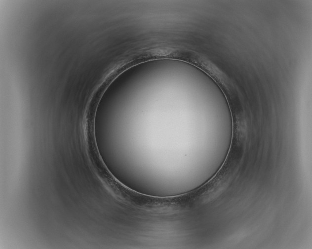 X0000113030626200909031252