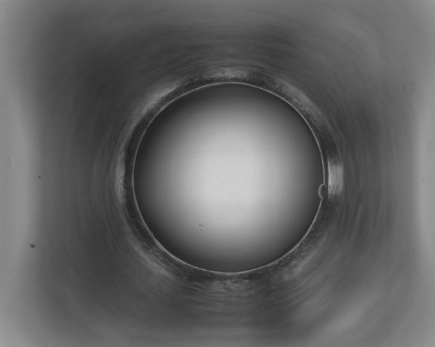 X0000113030627200909031252