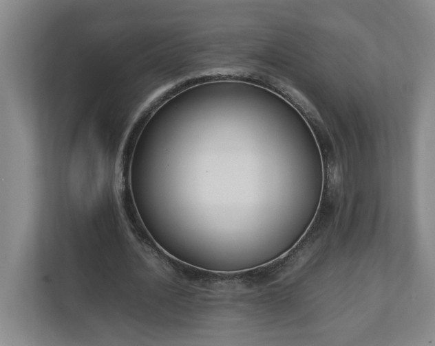 X0000113030628200909031252