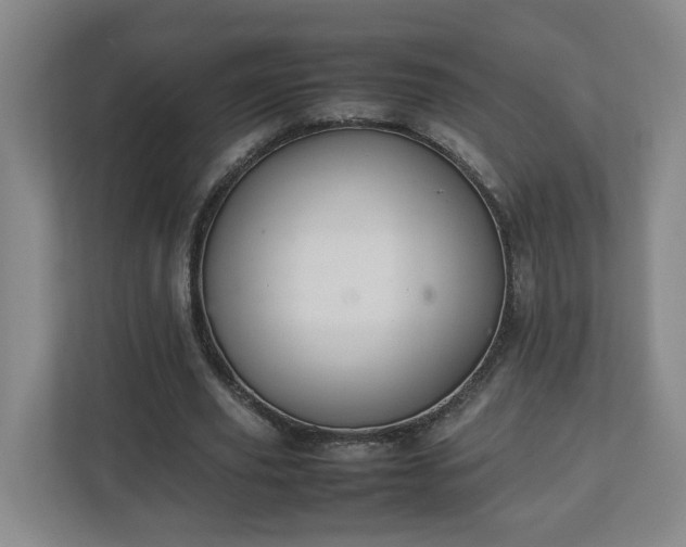 X0000113030629200909031252