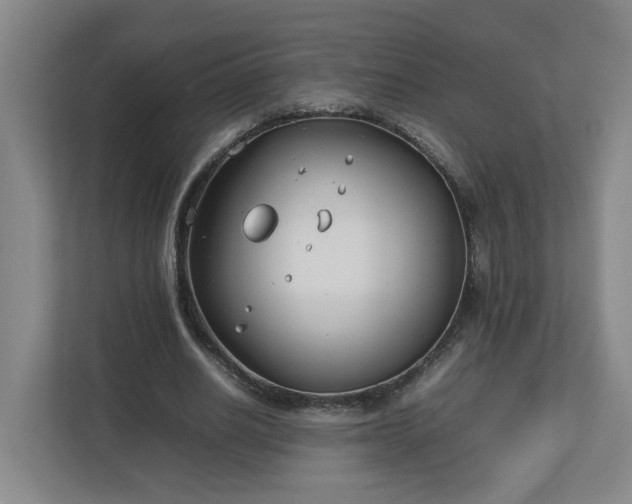 X0000113030630200909031252