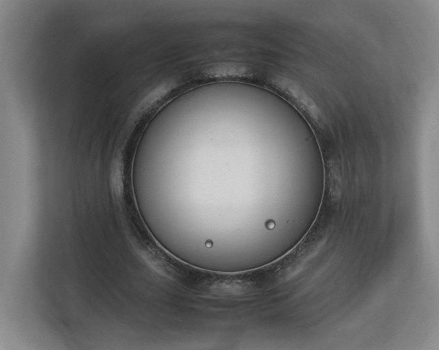 X0000113030631200909031252