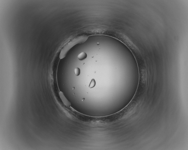 X0000113030634200909031252