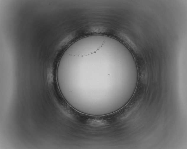 X0000113030635200909031252