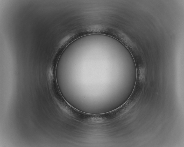 X0000113030636200909031252