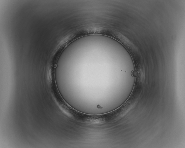 X0000113030638200909031252