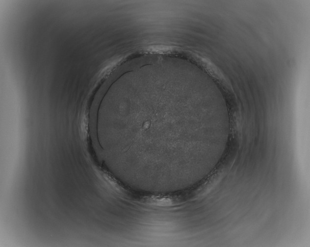 X0000113030640200909031252