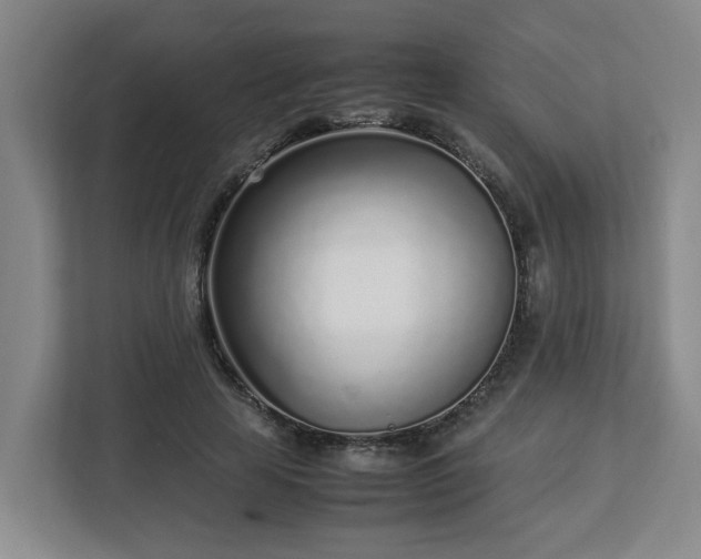 X0000113030641200909031252