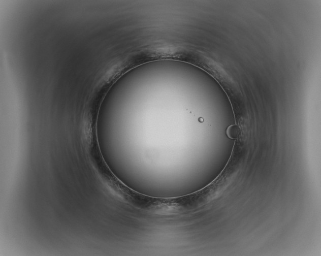 X0000113030642200909031252