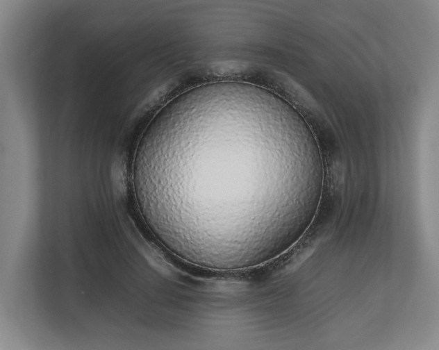 X0000113030644200909031252