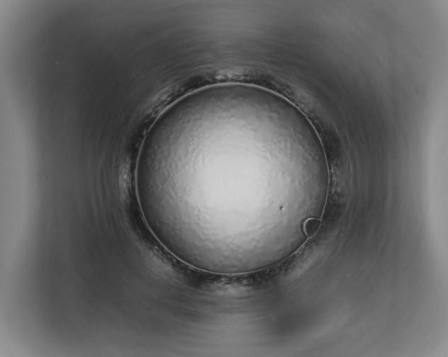 X0000113030648200909031252