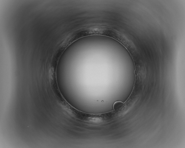 X0000113030649200909031252