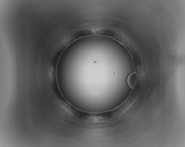 X0000113030650200909031252